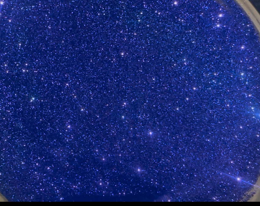 Poxy Realm (Poxy Princess Purple)